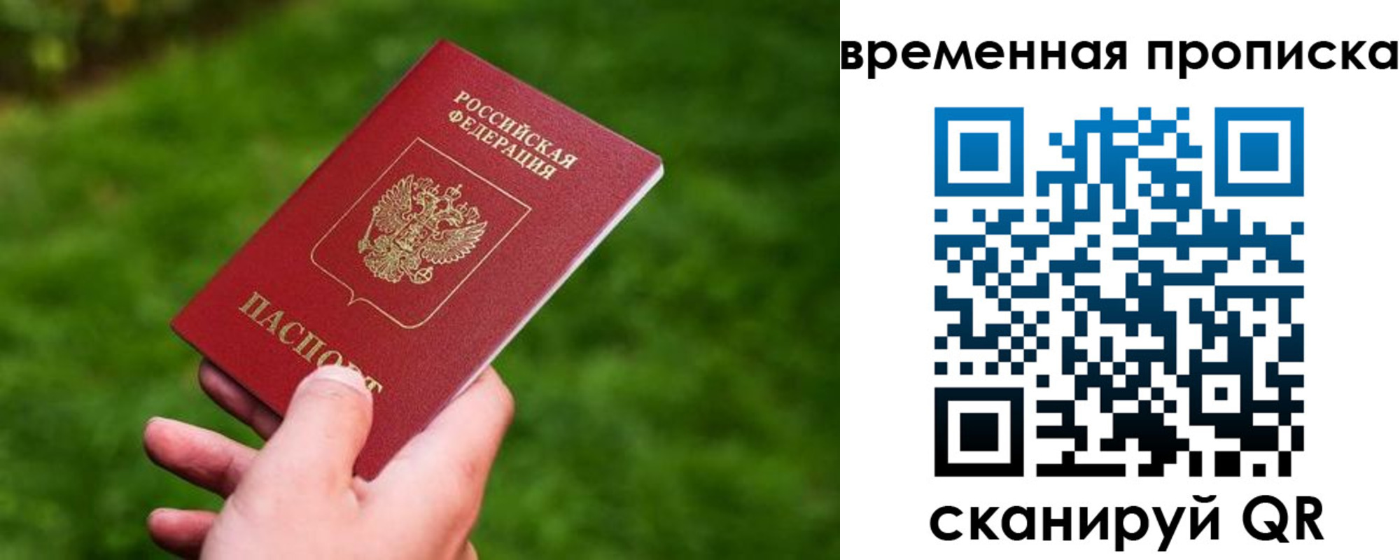 прописка ребенка в Электрогорске